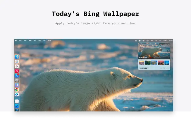 bearBing screenshot 1