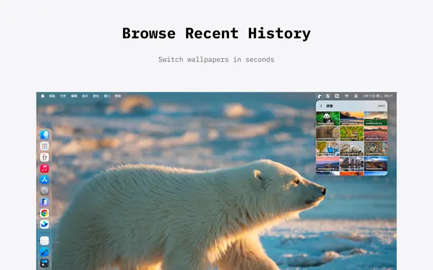 bearBing screenshot 2