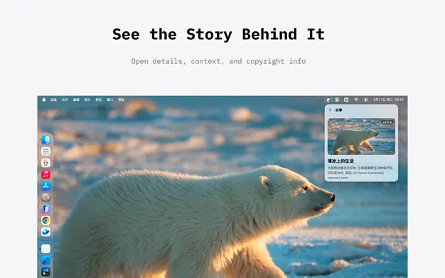 bearBing screenshot 3